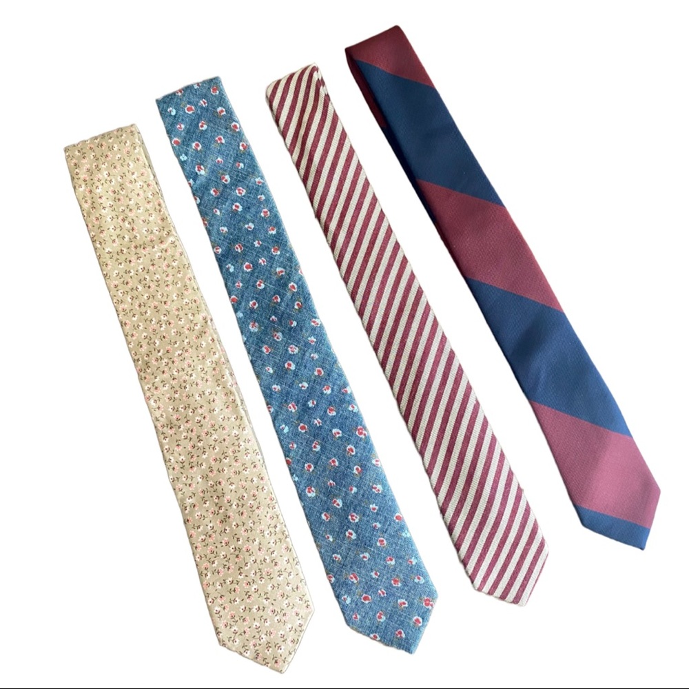 Skinny Ties - Bundle of 4 - J. Crew - BDG - The Hillside